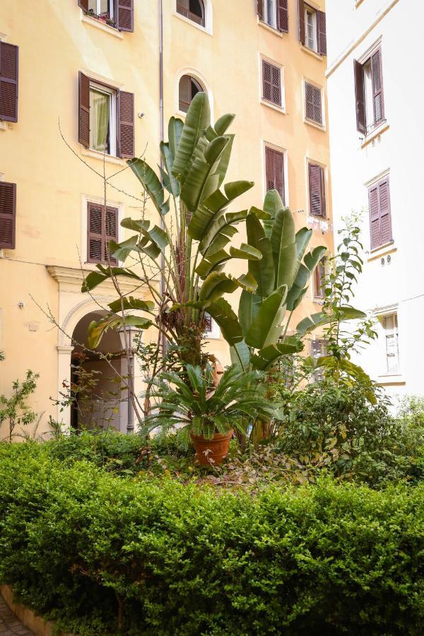 Mama House Roma Bed and Breakfast Εξωτερικό φωτογραφία